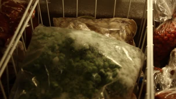 冰箱中的水果 肉类和其他冷冻货物 — 图库视频影像