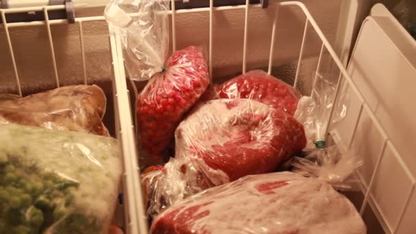 Frutas Carnes Outros Produtos Congelados Num Frigorífico — Vídeo de Stock