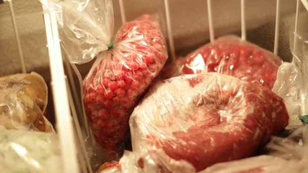 Frutas Carne Otros Productos Congelados Refrigerador — Vídeos de Stock