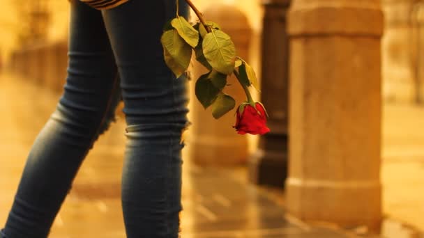 Mujer Esperando Una Fecha Con Rosa Sus Manos — Vídeos de Stock