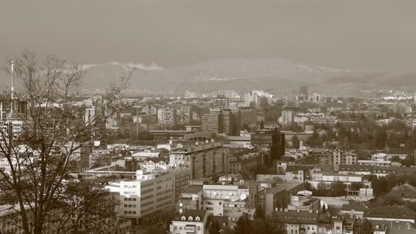 Vista Panorâmica Dos Telhados — Vídeo de Stock