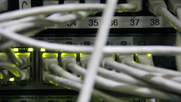 Szczegóły Pracy Przełącznika Ethernet Złączami Przewodami Utp Obsługa 100 1000 — Wideo stockowe