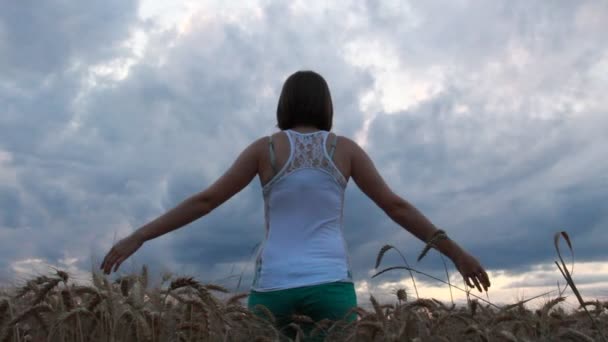 Woman Feel Free Field Hot Summer Day — Stock video