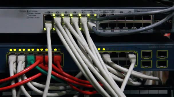 Details Van Het Werken Ethernet Schakelaar Met Connectoren Utp Kabels — Stockvideo