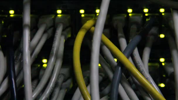ケーブルとネットワーク サーバーへの接続 — ストック動画