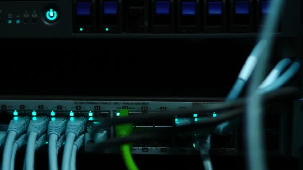 Részletek Működő Ethernet Kapcsoló Csatlakozók Utp Kábelek Kezelése 100 1000 — Stock videók