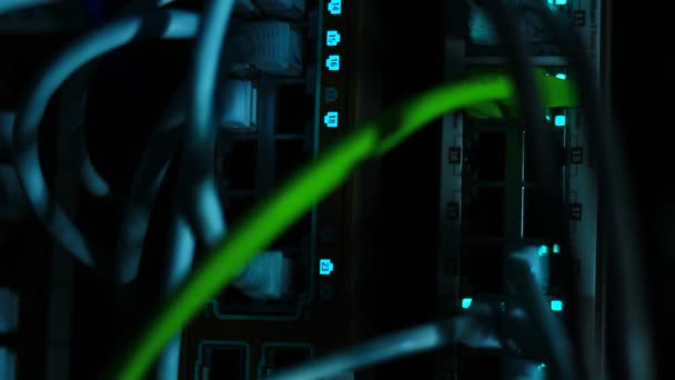 Detalles Del Interruptor Ethernet Con Conectores Cables Utp Manejo Partir — Vídeos de Stock