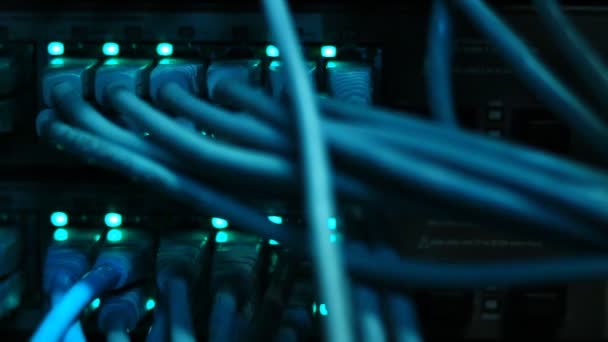 Detaljer För Fungerande Ethernet Switch Med Kontakter Utp Kablar Hantering — Stockvideo