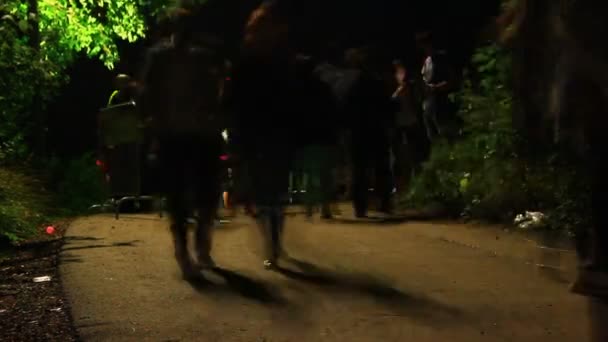 森の中で夜の人々のタイムラプス パーティーで — ストック動画