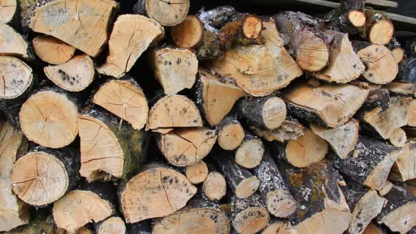 Stack Fire Wood Prepared Winter — Vídeos de Stock