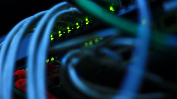 Details Van Het Werken Ethernet Schakelaar Met Connectoren Utp Kabels — Stockvideo