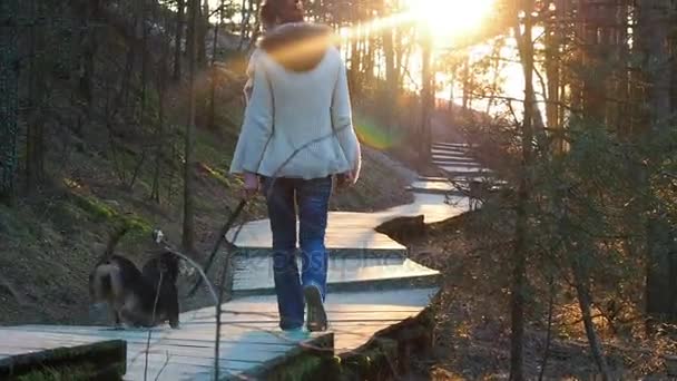 Mutlu genç kız onun köpek dachshund Bahar park ile oynarken. Genç kız ile ormanda köpek günbatımında yürüyüş. Genç kız bir patika bir güneş ışıkları içinde devam ediyor — Stok video