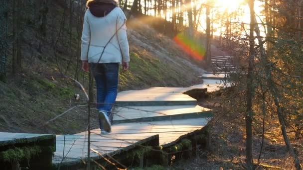 Jong meisje lopen in het bos bij zonsondergang. De zonnestralen in het voorjaar. Het pad in de bossen van de Koerse Schoorwal. Tiener meisje gaat op een voetpad lampjes van een zon — Stockvideo