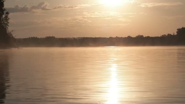 Золотой свет солнца на водной поверхности озера. Золотой восход солнца на озере. Пот на воде в солнечном свете — стоковое видео