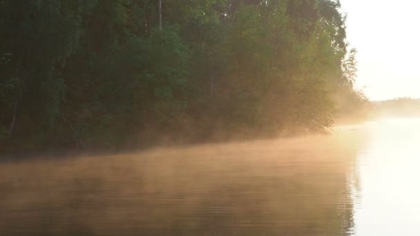 La luz dorada del sol en la superficie del agua del lago. Atardecer dorado amanecer en el lago. La transpiración en el agua en la luz del sol — Vídeos de Stock