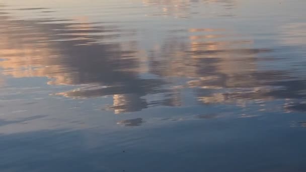 El agua refleja el cielo con nubes. cielo azul reflejado en el agua. movimiento de las olas en el atardecer del lago nubes rosadas — Vídeos de Stock