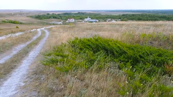 Beautiful landscape with creeping lush green juniper and dry meadow grass blown by wind on background of yellow hills in late summer. Juniperus sabina in steppe of Russia, Volgograd region. — Stock Video