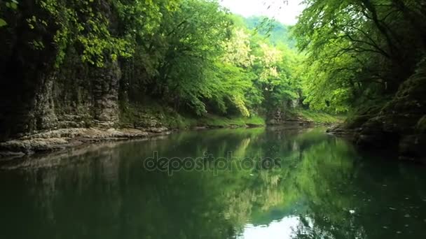 Kanion rzeki Abahsa. Martvili, Gruzja — Wideo stockowe