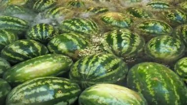 Çok fazla su karpuz LIEE. Meyve arka plan
