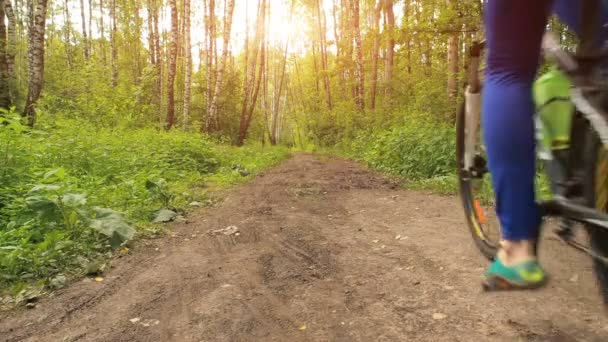 Chica en bicicleta en el parque. Joven Deportiva Ciclismo en el Bosque — Vídeos de Stock