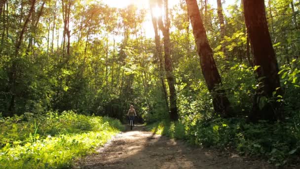 Flicka på cykel i parken. Sportig flicka cykling i skogen — Stockvideo