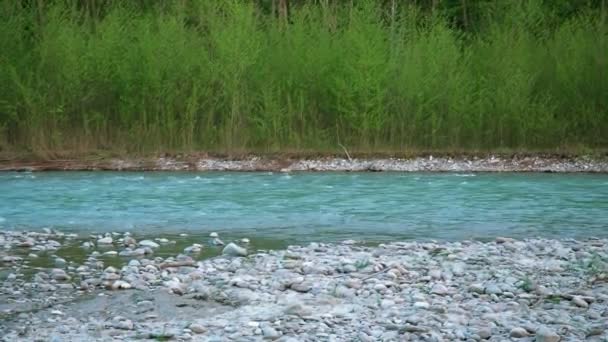 Ein sauberer Gebirgsfluss mit starker Strömung fließt rasch aus den Bergen des Kaukasus. Abend — Stockvideo