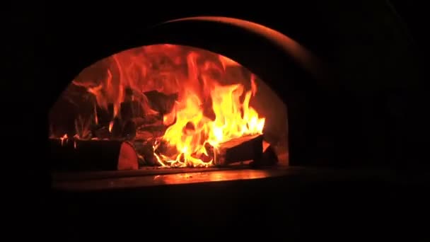 Beautiful Fire Close Up Slow Motion. Video Clip of Burning Firewood in the Fireplace. Firewood Burn in the wood burning stove. 30fps Full HD — Stock Video