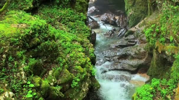 Nehir Abahsa Kanyonu. Martvili, Gürcistan — Stok video