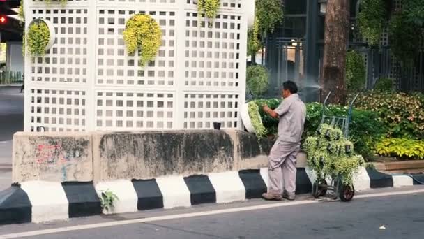 Bangkok, Thailand - May 8, 2019: Greening of Bangkok city. A gardener decorates the streets of the city with greenery. Male worker plants live plants near a big city in a big city. — Stock Video