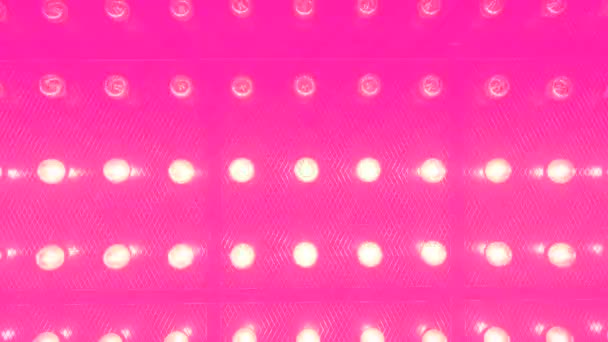 Muchas lámparas de vidrio brillantes y llamativas. Increíble fondo rosa. Fondo rosa glamuroso con bombillas luminosas parpadeantes . — Vídeos de Stock