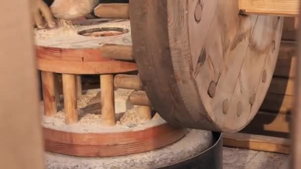Miller legt Getreide in einen rotierenden antiken Quernstein. Mechanische Handmühle mit Getreide. Der Mann mahlt das Korn mit Hilfe eines Mahlsteins zu Mehl — Stockvideo