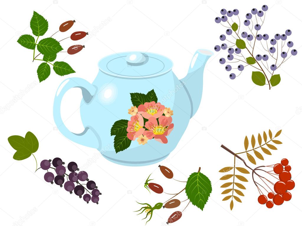 Teapot and berries