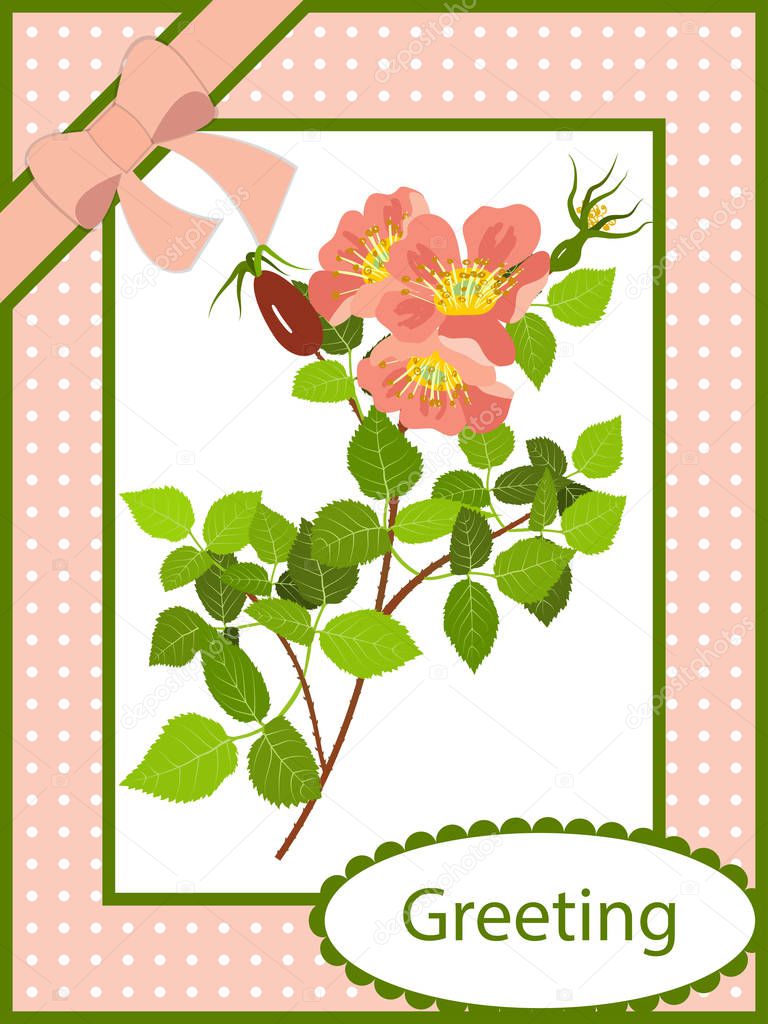 Greeting card blooming wild rose
