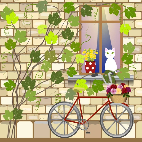 Bisiklet penceresi altında