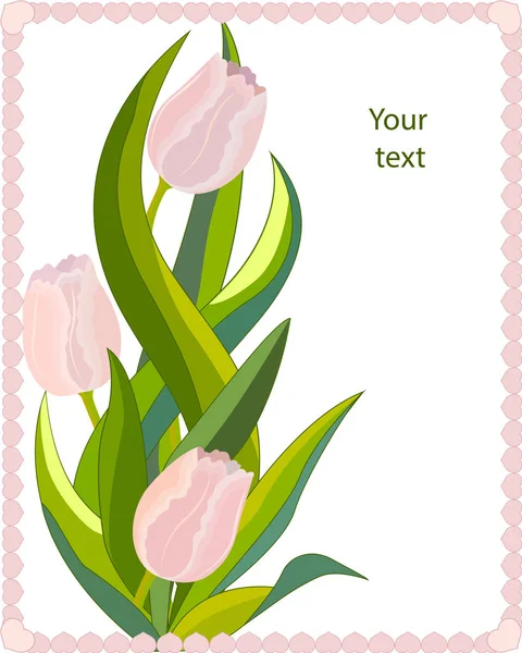 Cartão de saudações tulipas rosa — Vetor de Stock