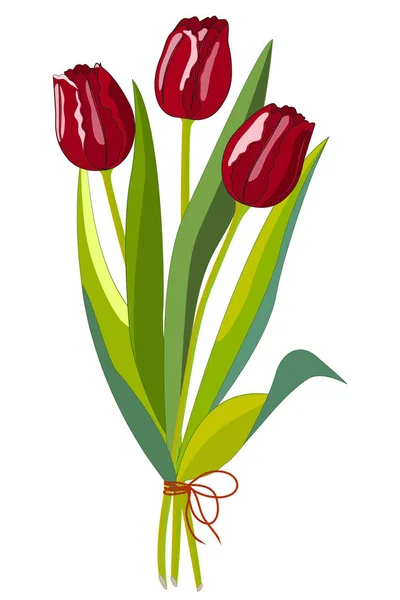 Tres tulipanes rojos — Vector de stock