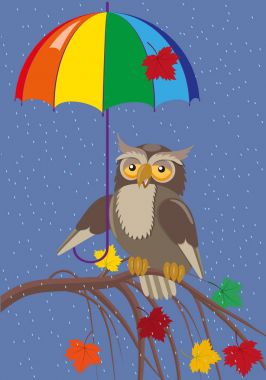 Baykuş şemsiyesi altında