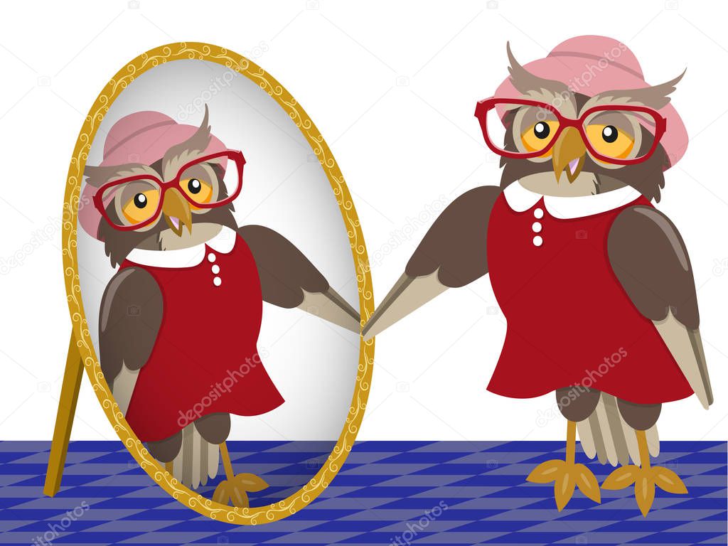 Owl in front of mirror