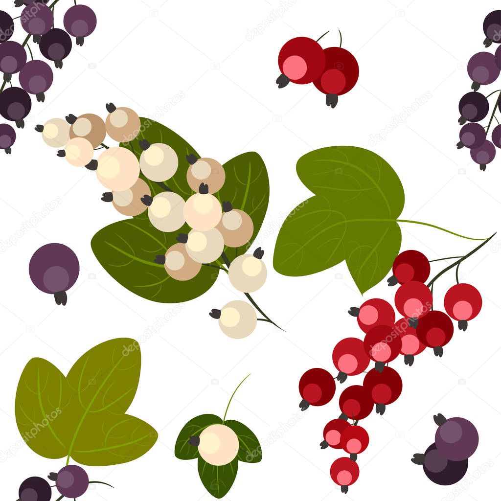 Currant seamless pattern
