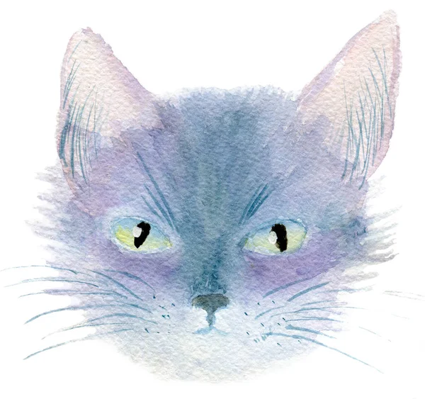 Υδατογραφία πορτρέτο μιας νεαρής γκρίζας γάτας — Φωτογραφία Αρχείου