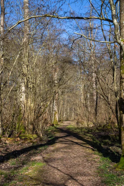 Dalby Soderskog Het Kleinste Nationale Park Van Europa Met Edele — Stockfoto