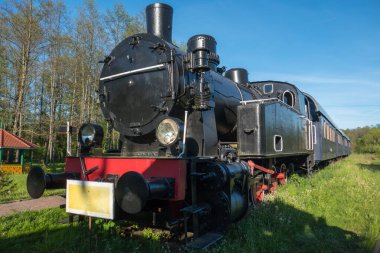 Polonya 'nın doğusundaki Belarus sınırı yakınlarındaki Bialowieza' da terkedilmiş bir demiryolunda eski trenler..
