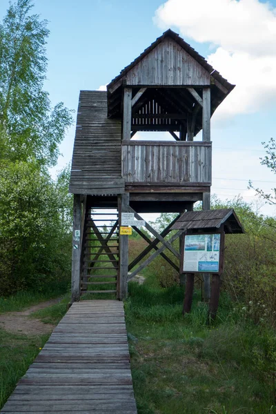 Башня Наблюдения Птицами Водно Болотных Угодьях Гонядзе Восточная Польша — стоковое фото