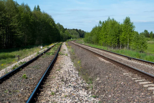 Railroad Lush Deciduous Forest Border Belarus Eastern Poland — Stock Photo, Image