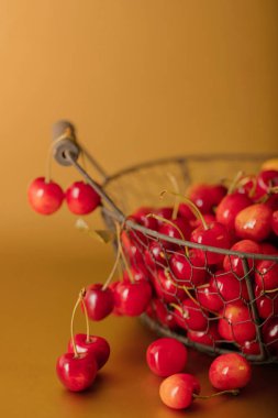 Altın arka plan üzerinde bir sepet içinde kiraz. 