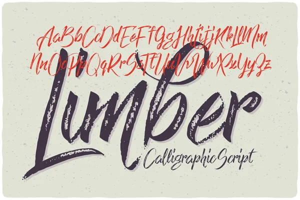 Handgezeichnete kalligrafische Schrift — Stockvektor