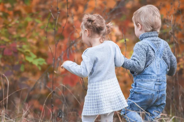 Happy children outdoor at fall season, holding hands. Has date