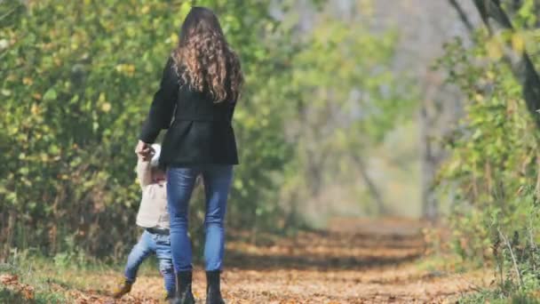 Mãe vira bebê ao ar livre. Outono deixa fundo. Valores familiares felizes — Vídeo de Stock