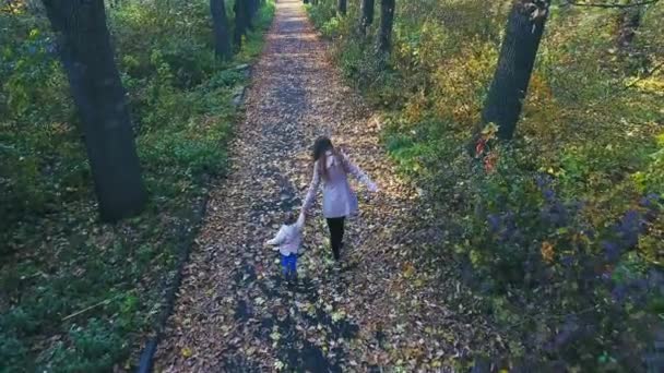 Matka s dítětem chodit venkovní. Pohled shora, vrtulník dron. Podzim — Stock video