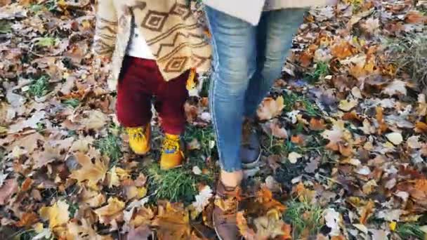 Мать крупным планом с ребенком гуляет по осенним листьям на свежем воздухе — стоковое видео